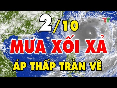 Video Dự báo thời tiết hôm nay mới nhất ngày 02/10 | Tin Bão... - youtube