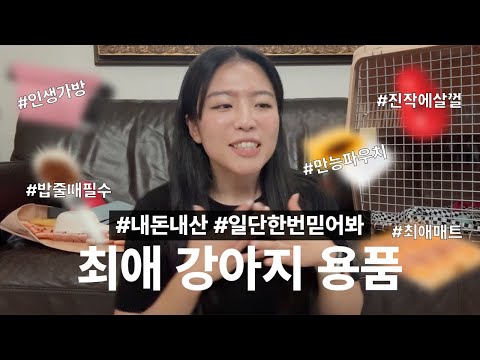 반려동물 외출 용품 BEST 3, 세븐 펫 매트부터 실리콘 트릿백까지!