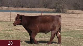 Lot 38