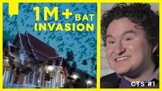 MILLIONS OF BATS INVADE THAILAND TEMPLE!!! Bats Are Evidence for DESIGN not EVOLUTION | CTS S3 E1
