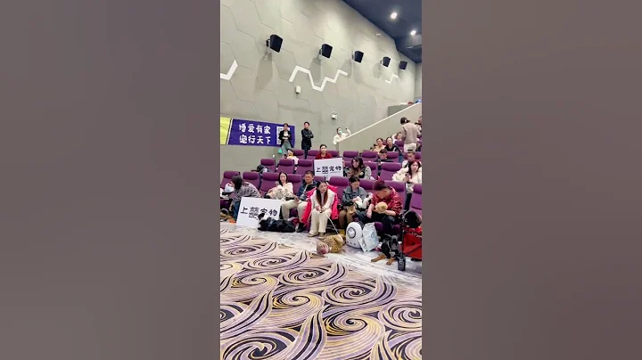 开封王婆很火??狗狗们今天集体聚会，坐上大巴找王婆去相亲#开封不止王婆 #王婆给网友们安利开封 #开封王婆说媒现场有多火 #开封王婆我来啦#Dog # Pet # Family # shorts - 天天要闻