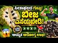 ಸೀತಾಫಲ ಬೀಜ ಎಸೆಯುತ್ತೀರಾ? ಇದರಲ್ಲಿ ಇದೆ ಅದ್ಭುತ ಆರೋಗ್ಯ ರಹಸ್ಯ | Custard Apple Benefits | NCIB TIMES MEDIA