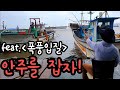 폭풍입질!! 술안주를 잡아서 요리하고 먹어보자 비오는 항구 바다낚시! 힐링영상! Let's catch fish at the harbor, cook and eat