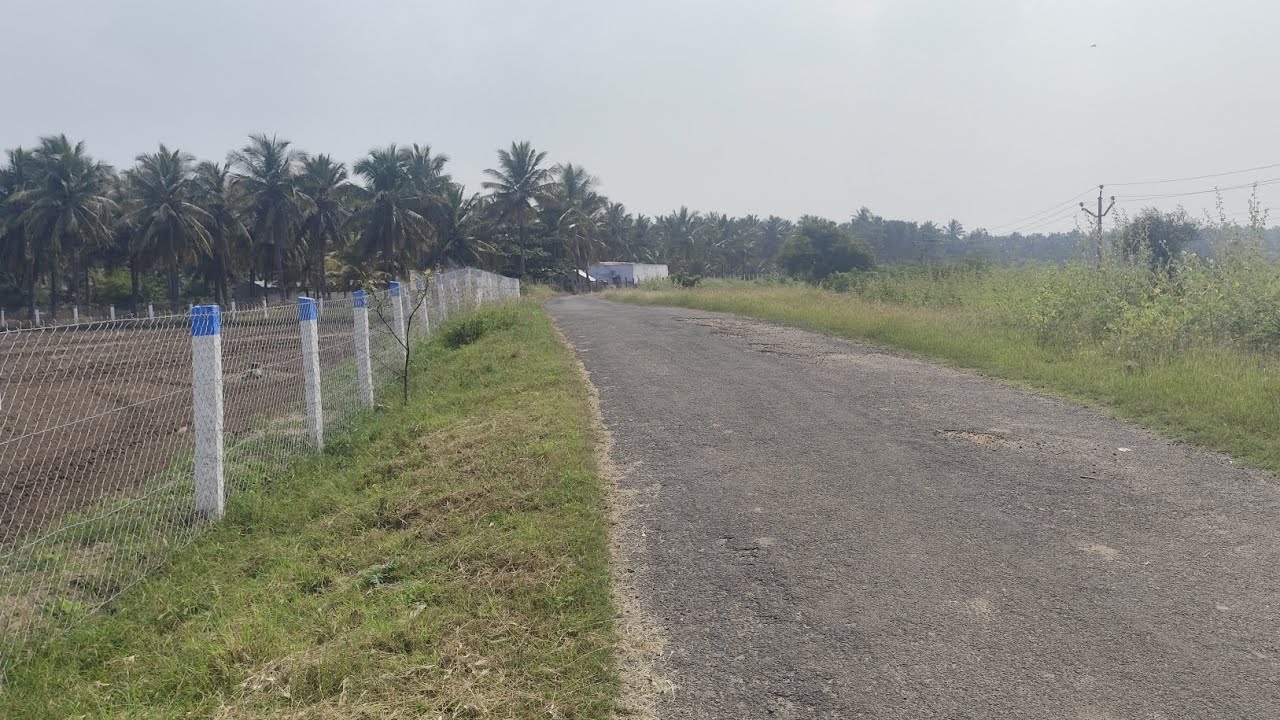 மொத்தம் 1.50 விவசாய பூமி விற்பனைக்கு+ செம்மண்பூமி+ பிஏபி+கம்பி வேலி 800 அடி ரோடு பேஸ் 