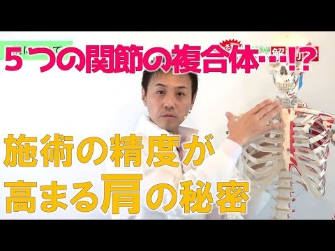 ５つの関節の複合体！？施術の精度が高まる肩の秘密｝｜ゴッドハンド通信｜大澤訓永