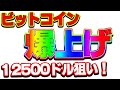 【仮想通貨】ビットコインロング爆益！！米大手企業がBTCを53億円購入！
