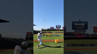 Self Toss Home Run at Cubs Stadium #homerun #baseballlife #funny #savannahbananas