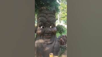 #dancing tree#viral video