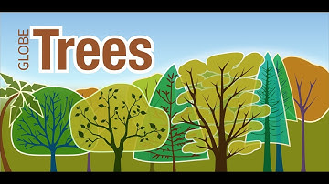 How to use GLOBE Observer: Trees