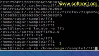 locate command examples in BASH shell terminal