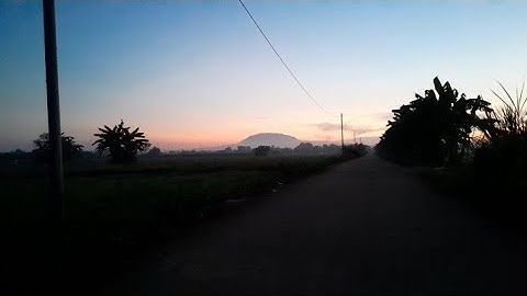 Bẫy chim cút đêm tập 15,chia sẽ cách làm luồng đánh cút đêm hiệu quả