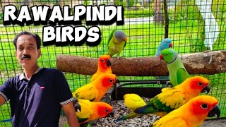 Rawalpindi Birds Market❤|Ayub Butt Vlogs| by Ayub Butt Vlogs 66 views 2 weeks ago 11 minutes, 51 seconds