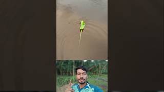 Amazing Mini Leaf Boat Making Technique | Simple DIY Nature Craft 🌿🚤#LeafBoat #DIYCraft #NatureCraft