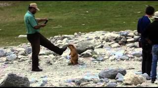 VID 20150831 WA0007 leh ladakh 1