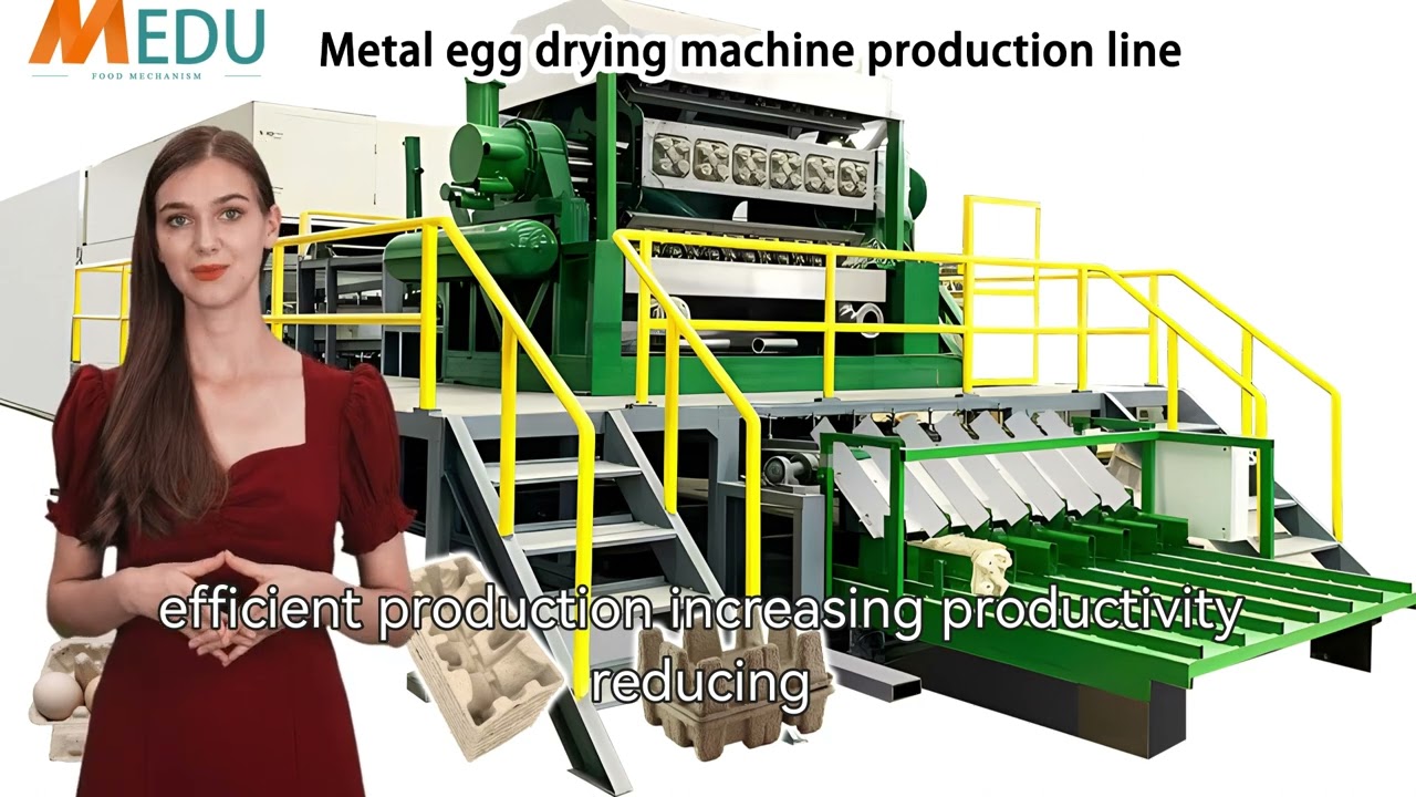 Egg trays machine whole production line