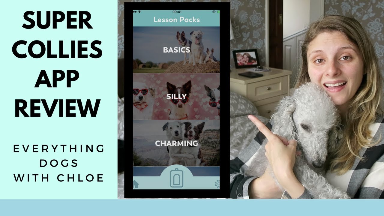 THE SUPER COLLIES - PUPPR APP REVIEW dog channels on youtube