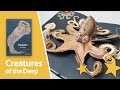 Creatures of the deep the popup book by maike biederstaedt