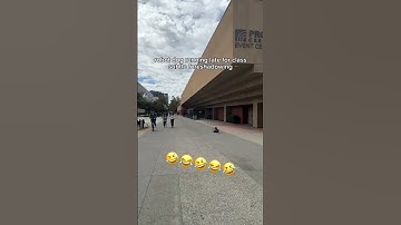 Did the robo dog make it to class on time? 😭 Link in bio 🦾 #toborlife #robotdog #securitydog