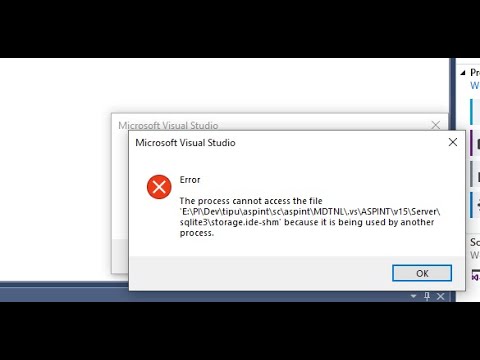 Visual Studio error it is being used by another error process