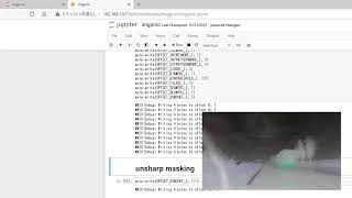 PYNQ controls visual effect - 1