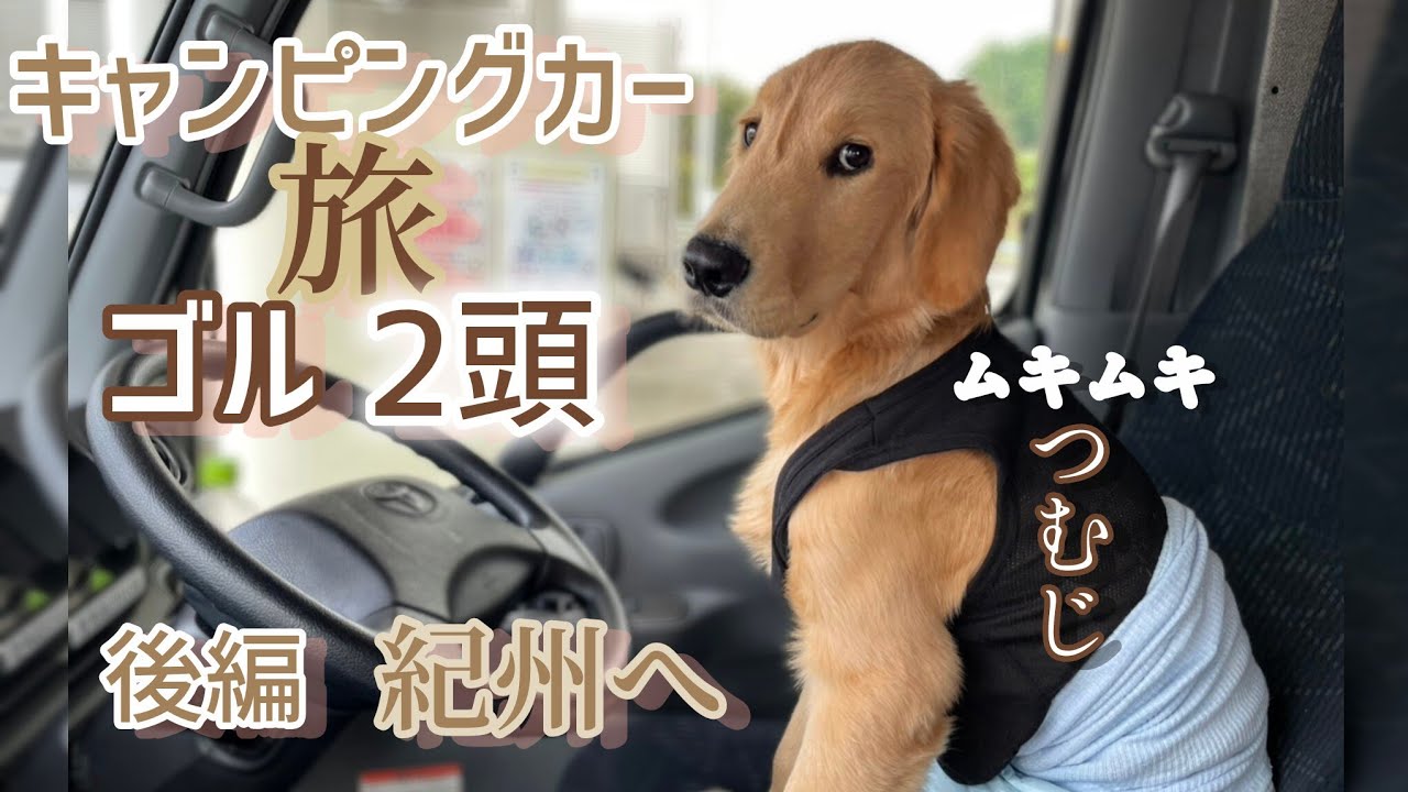 独身中年と2頭のゴル【キャンピングカー旅】後編・紀州。疲れました…