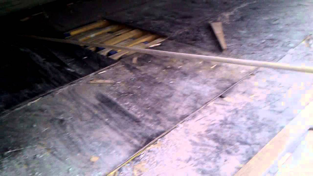 Lietuviai zvejoja :D :D  :D