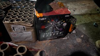 Funke Colorful Python - Neuheit 2024 Wealth