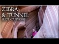 Zebra and Tunnel Slot Canyons Escalante, Utah.