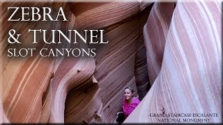 Zebra and Tunnel Slot Canyons Escalante, Utah.