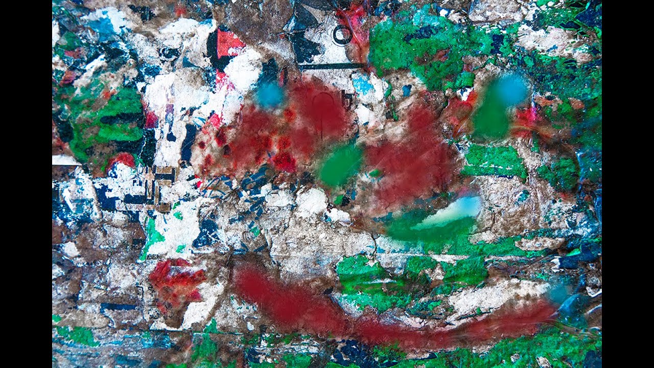 Seeing Color and Shape: You Keep Shooting with Bryan Peterson