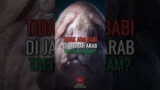 Download Lagu Keajaiban Al-Qur'an, tidak ada babi di arab tapi kok haram? #shorts #faktaislam #babi MP3