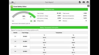 Tesla pre purchase inspection 2020 Model X HV battery health test by Incar Automotive