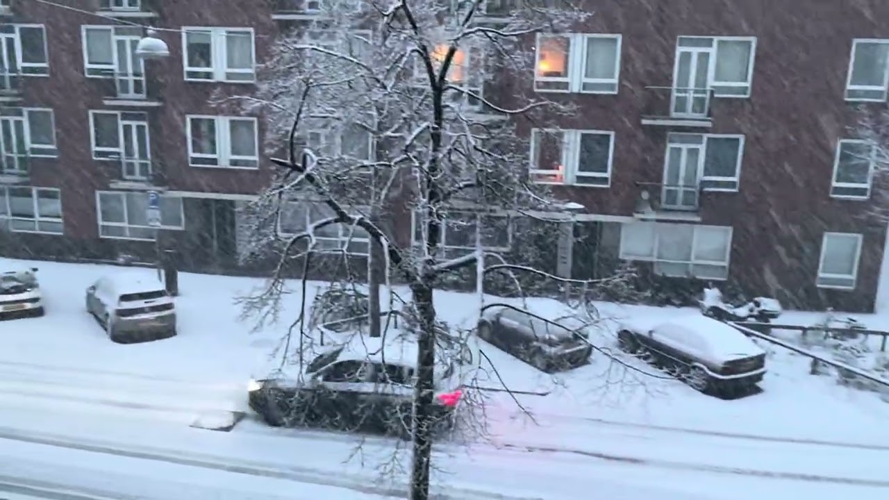 LATEST UPDATE SNOW HERE IN AMSTERDAM THIS MONDAY MORNING HEAVY SNOW 