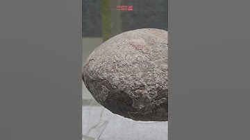 Perfectly Preserved Dinosaur Embryo