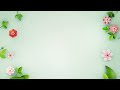 Flower Background Video | Free Stock Footage