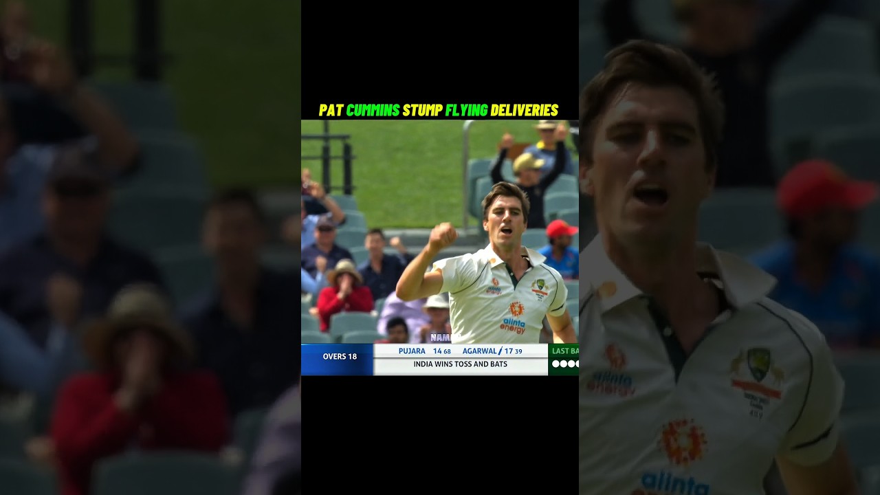 Pat Cummins Stump Flying Deliveries 💀