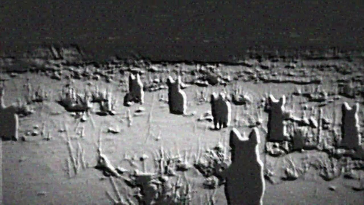 Tonight, we hunt. (Dark Ambient/War Music)