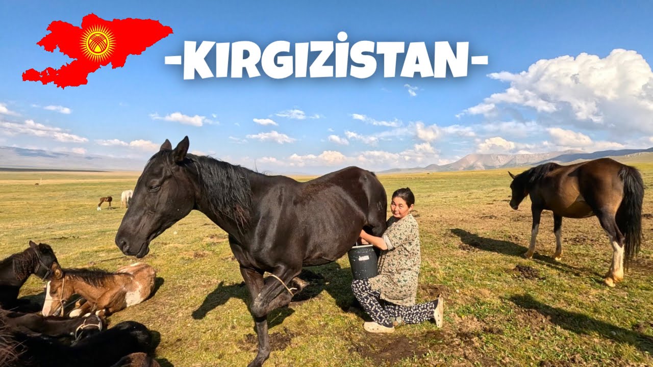 ZORLU KOŞULLARDA BİR HAYAT MÜCADESİ 