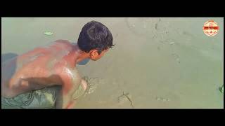 Download Lagu The villages small boys fishing with their Nets and Hands Video 2019-Banglar Fishing MP3