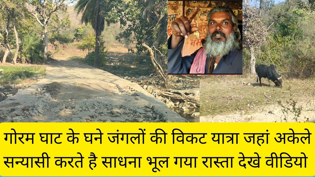 गोरम घाट के जंगलों की रोमांचक यात्रा जहां संन्यासी अकेले रहते है visit for Goram ghat forest 