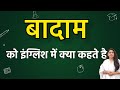 Badam को इंग्लिश में क्या कहते हैं ? Badam ko english mein kya kahate hain | Badam in english