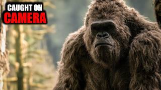 8 Times Bigfoot Was Caught in the Open (Caught on Camera)