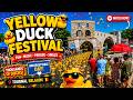 360°Au total 8793 canards ont été lâchés depuis le Pont Notre-Dame  course jusqu'au Pont des Trous🐥✨