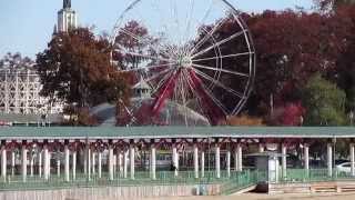 Our Town:  Rye, New York