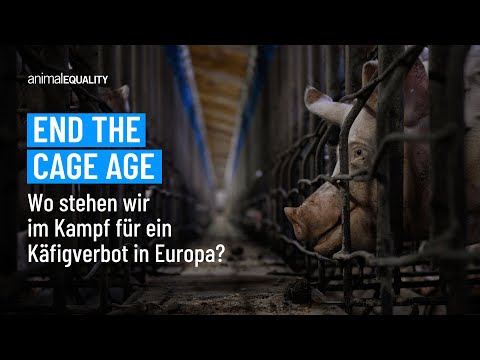 End the Cage Age: Wo stehen wir im Kampf für ein Käfigverbot in Europa?