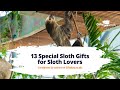 13 special sloth gifts for sloth lovers in the uk