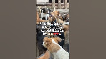Please don’t scroll without donating link in the bio#donatetoday#dogfood#comment#share