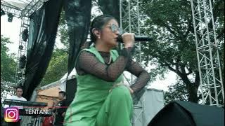 LELAKI CADANGAN - TIKA TIWI | AT PLAYLIST LIVE FESTIVAL 2.0 BANDUNG| FEAT VGARTBAND