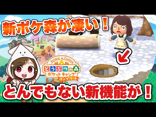 New Release] The new Pocket Camp has begun! New features have been