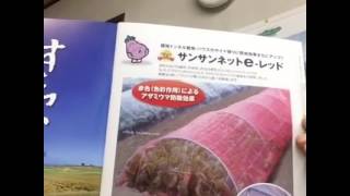 日本ワイドクロスという会社をご存知ですか？